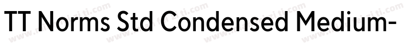 TT Norms Std Condensed Medium字体转换